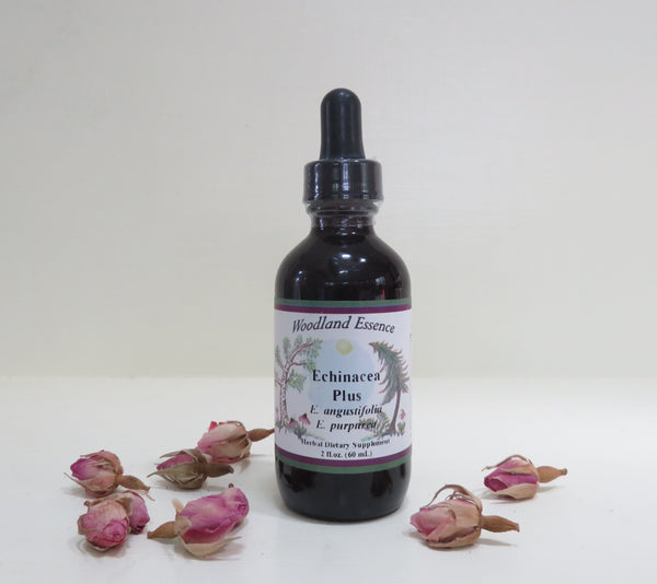 Echinacea Plus Extract Woodland Essence