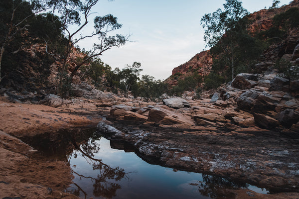 Larapinta Trail Self Guided