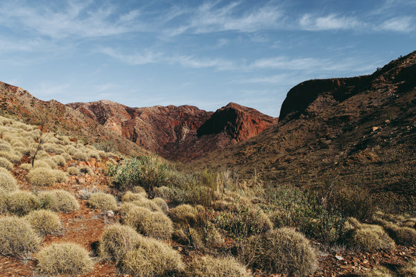 Larapinta Trail Self Guided