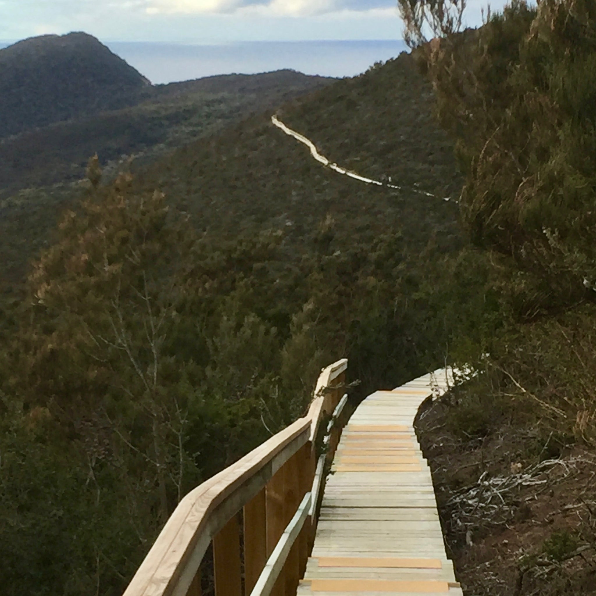 Your going to love the boarded sections of the Three Capes Track. The Three Capes Track has a good mix of timber boards, gravel and rock and in most cases the track is 1 meter wide so you can walk side by side with your buddies. If planning to walk The Three Capes Track in winter make sure you've got all the essentials for bracing winds and cold nights and you will need a shell jacket for rain. Check track weather here http://www.bom.gov.au/climate/averages/tables/cw_094075.shtml when planning. The cabins have a heated area in the social hub but the sleeping rooms are not heated but well insulated and comfortable. You will need a warm sleeping bag that is rated to around -5C or warmer depending on how warm you sleep. Pack gloves and a beanie for your extremities and something to brew to warm you up in the mornings and evenings. Check out the Tree Capes Track packing list and don't take short cuts http://www.threecapestrack.com.au/pdf/3CT_Packing_List.pdf . Tasmanian Parks and Wildlife Service has a huge amount of information for all walks in Tasmania and it's worth spending some time on their website.  