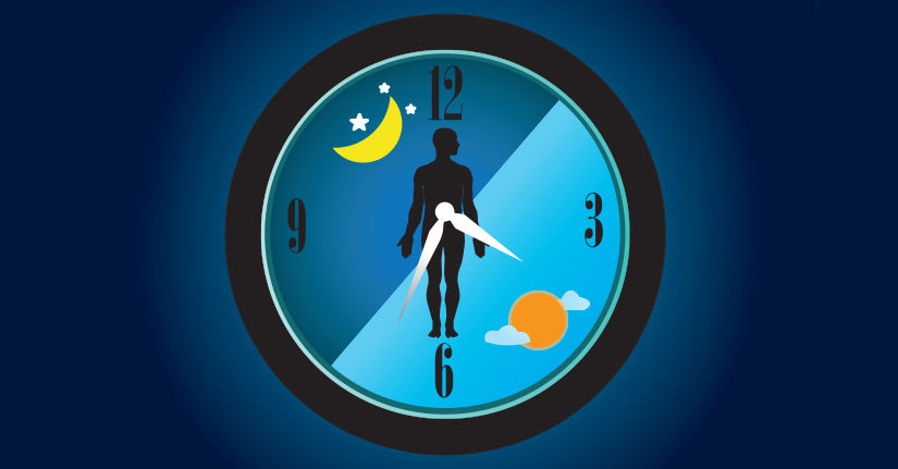 The Biological Clock: Why It is Important &amp; How It Affects Health – WOW  Skin Science