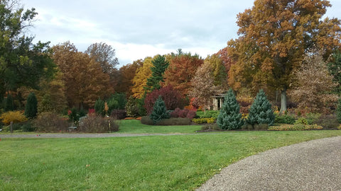 holden arboretum during fall