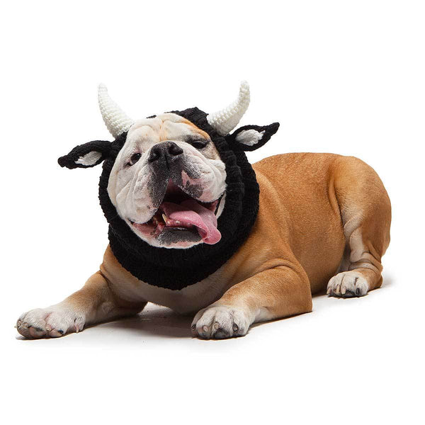 are bull horns good for dogs