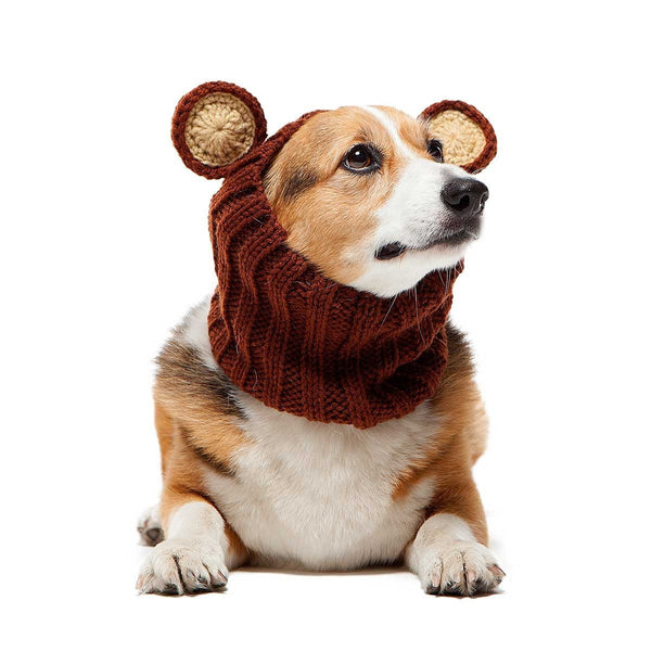 cuddle bear dog hoodie