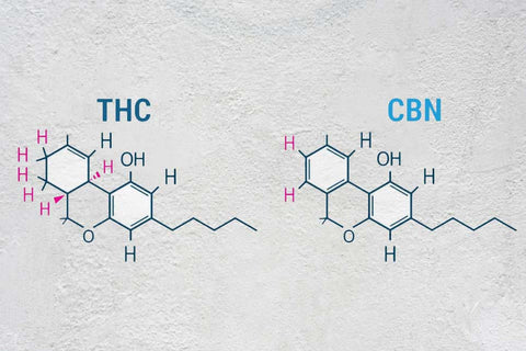 Cannabinoids THC and CBN