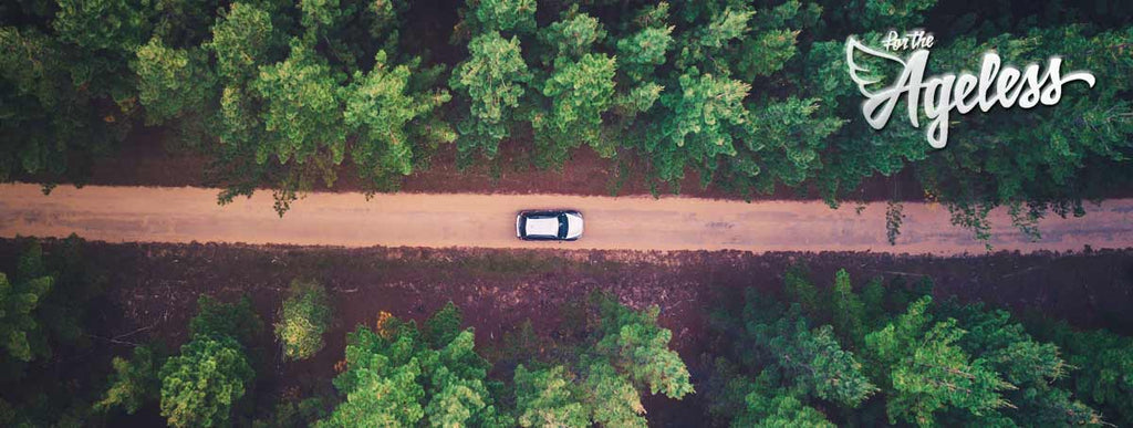 Car driving through forest