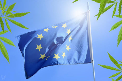 European union flag hemp