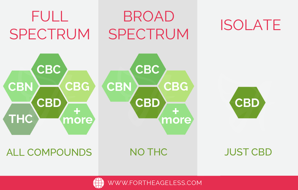 Full-spectrum-CBD-vs-isolate-infographic