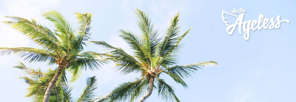 Palms in wind for the Ageless