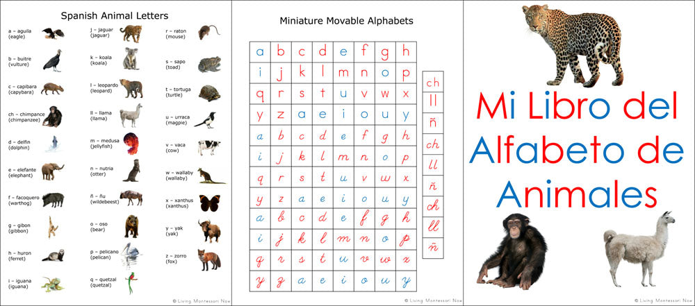 spanish-animal-alphabet-do-a-dot-pack-living-montessori-now