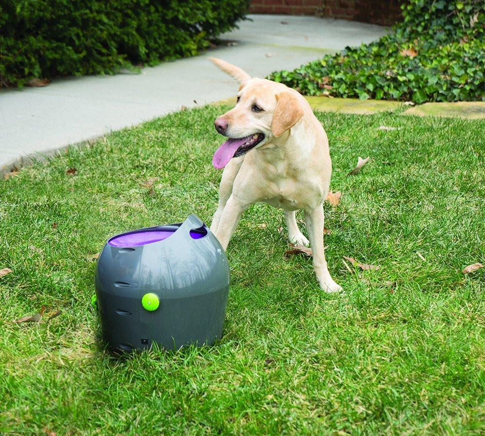 automatic ball launcher