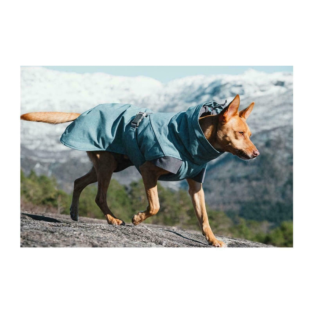 hurtta dog coats sale