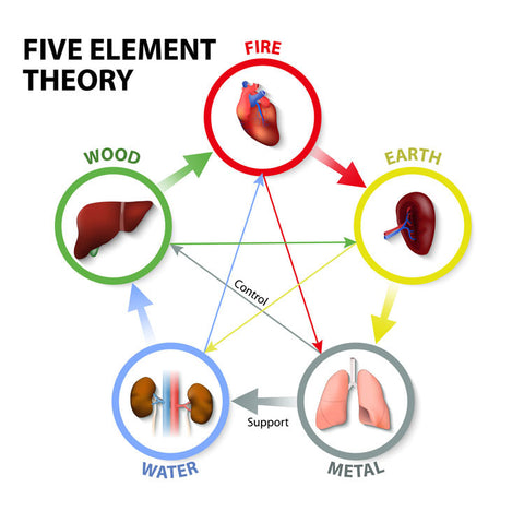 Traditional Chinese Medicine Five Element Theory