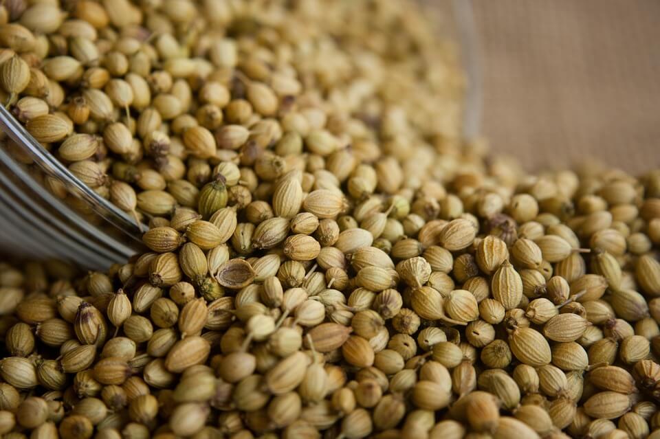 You Will Be Surprised To Know The Benefits Of Coriander On Your