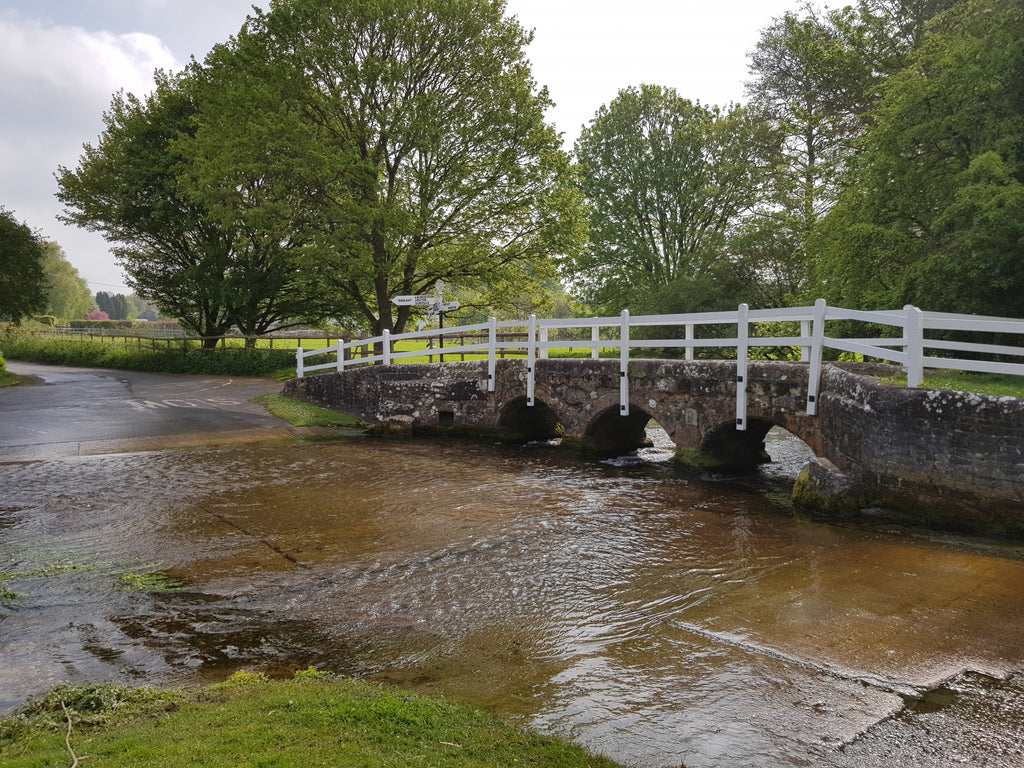 One of my favourite ford road crossings at Tarrant Monkton (ST 9449 0902).