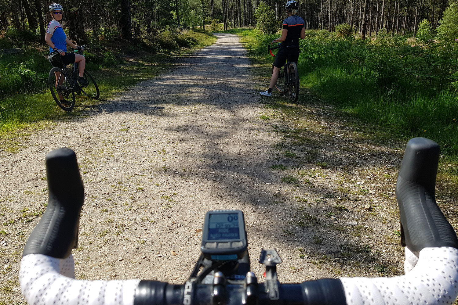 Wareham Forest offers a huge number of all-weather, gravel fire roads ideal for riders of all abilities.