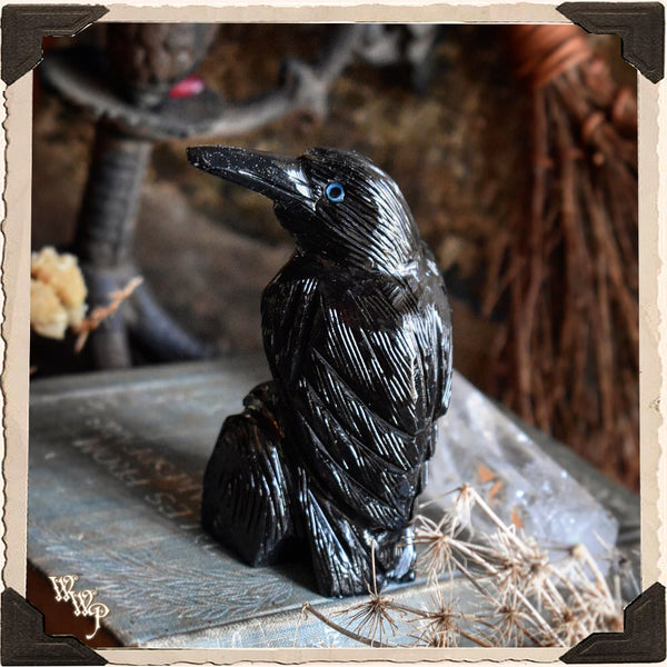 BLACK ONYX RAVEN. Spirit Animal Totem, Gemstone of Protection & Wisdom –  