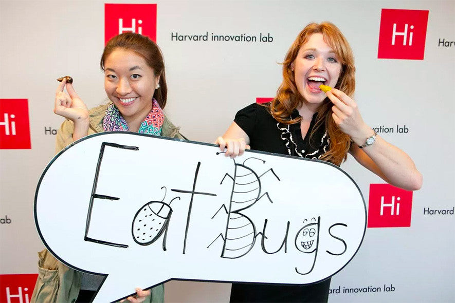 Chirps Founders Eat Bugs