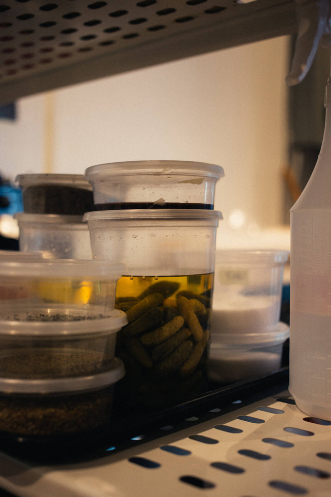 pickles and containers of food