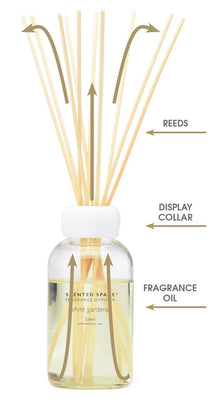 Reed Diffuser