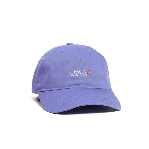 Wayward Pinger Hat