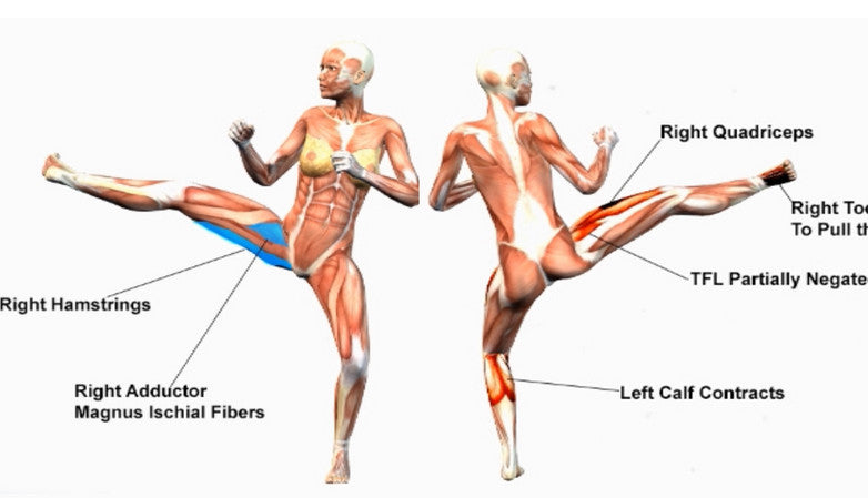 Anatomy Of The Twist Kick — Elasticsteel 5257