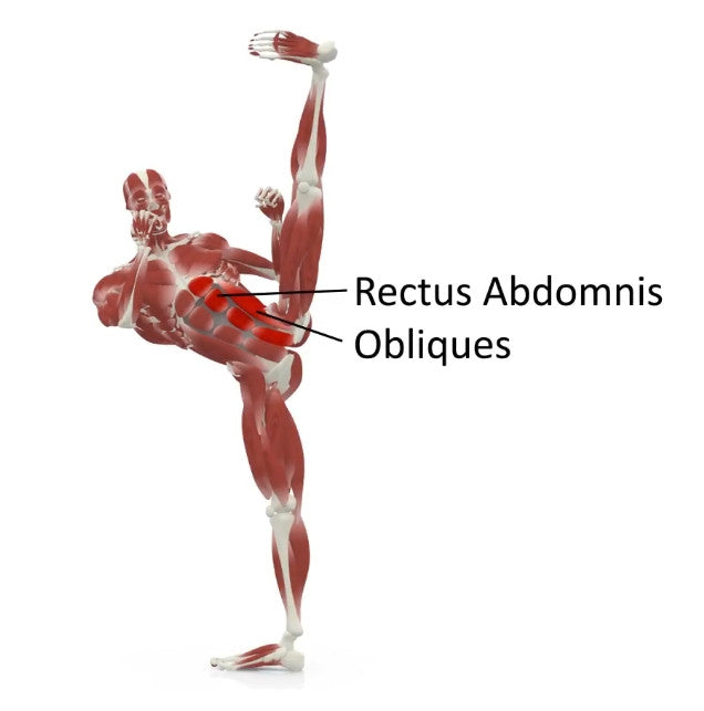 elasticsteel kicking side kick paul zaichik muscles rectus abdominis obliques core
