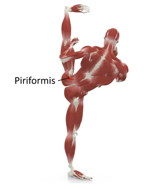  elasticsteel kicking side kick paul zaichik muscles piriformis