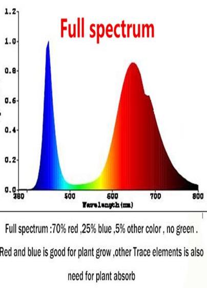 full-spectrum-led-grow-light