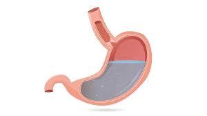 Low Stomach Acid: Causes and Consequences. GI Part 2