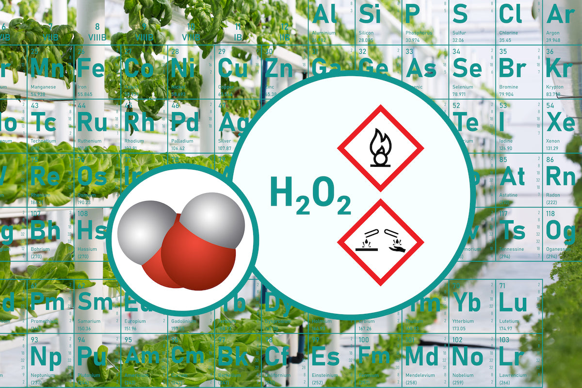 The Benefits of Hydrogen Peroxide (H2O2) for Plants and Hydroponics