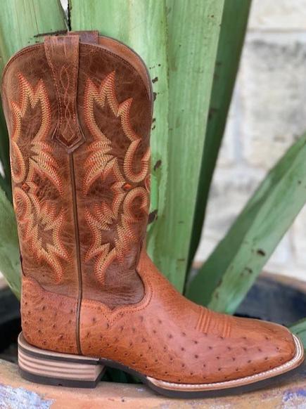 ariat smooth quill ostrich