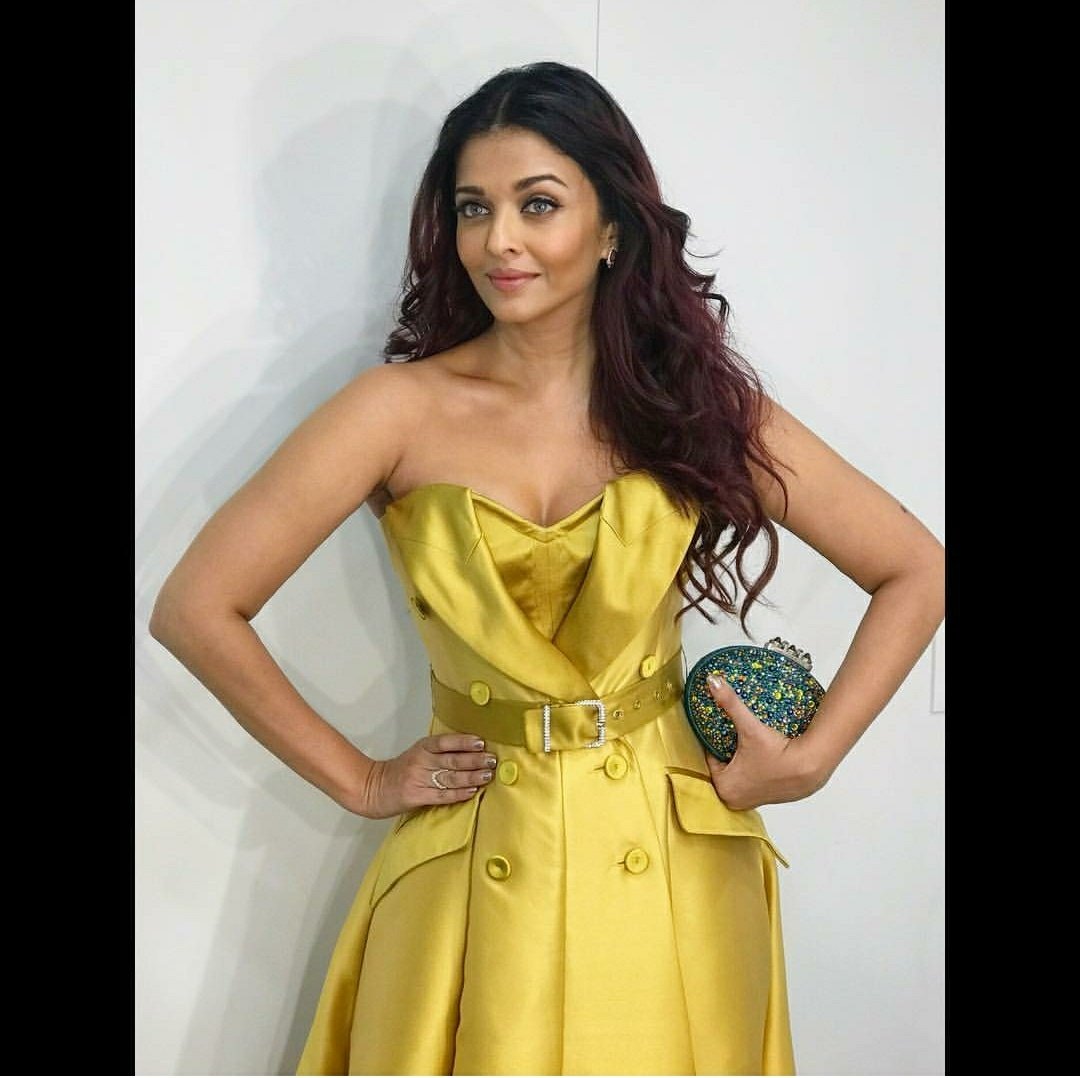 Aishwarya Rai Bachchan Looked Like A Million Bucks In Alexis Mabille Gown