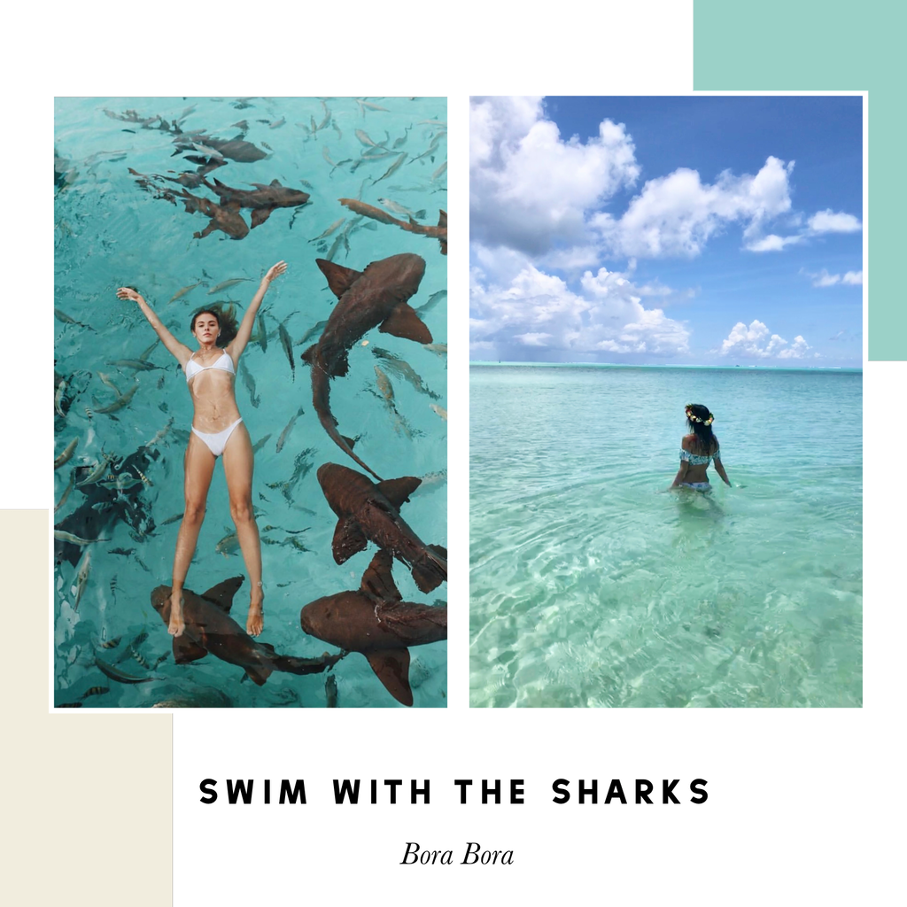 bora bora, Tahiti, shark week, swim, shark, swim sharks, skova, travel towel 