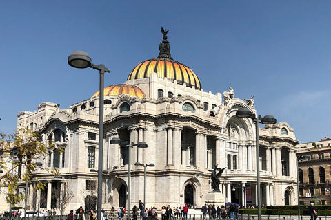 ShopMucho owner's Mexico vacation to Mexico City and Puerto Vallarta