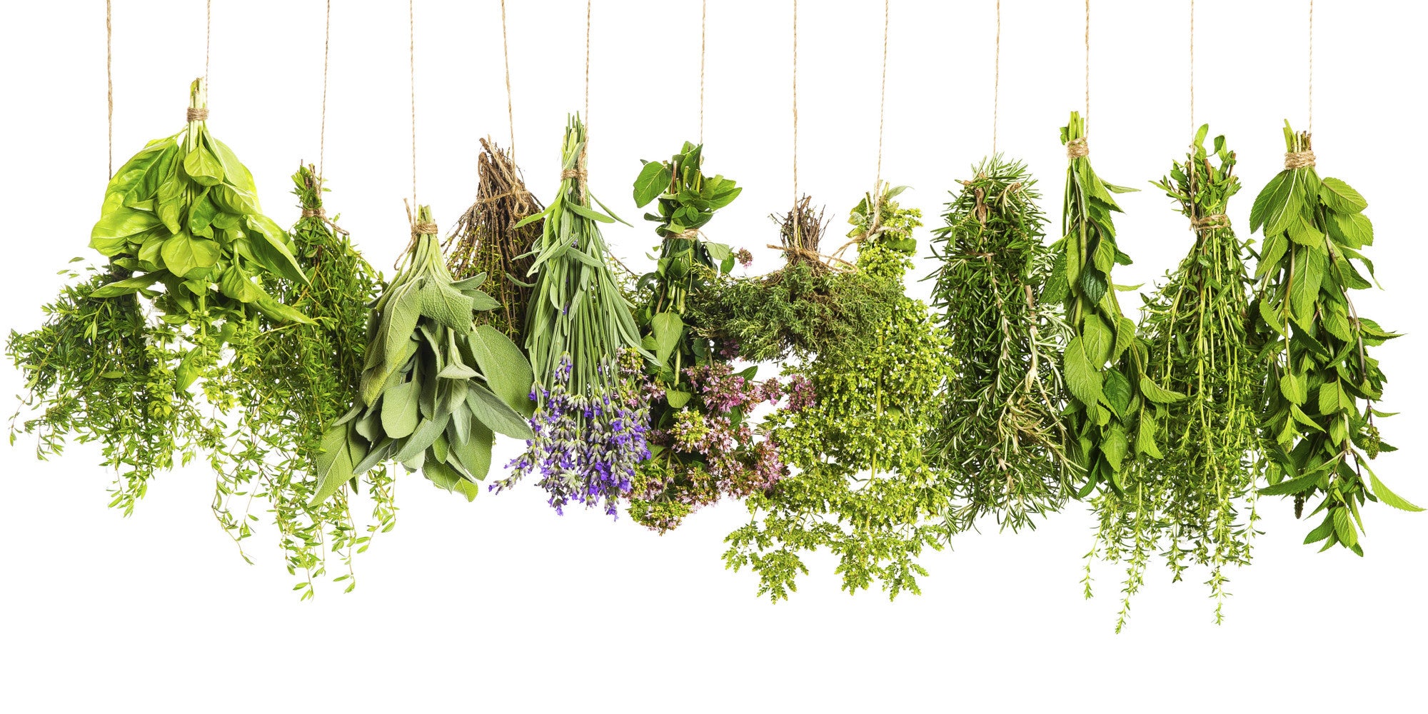 Herbal Recipes For a Refreshing Summer!