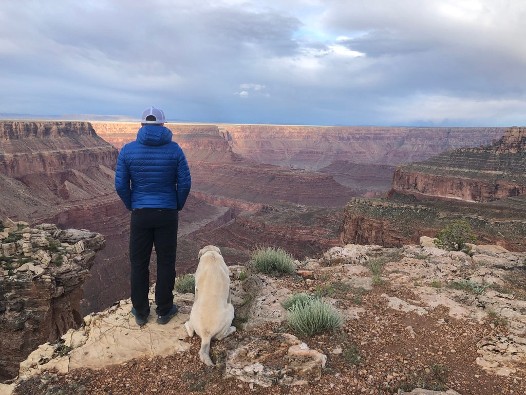 Man and dog overlooking canyon
