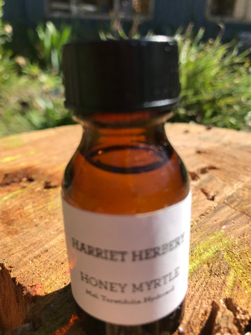 Honey Myrtle Hydrosol Harriet Herbery