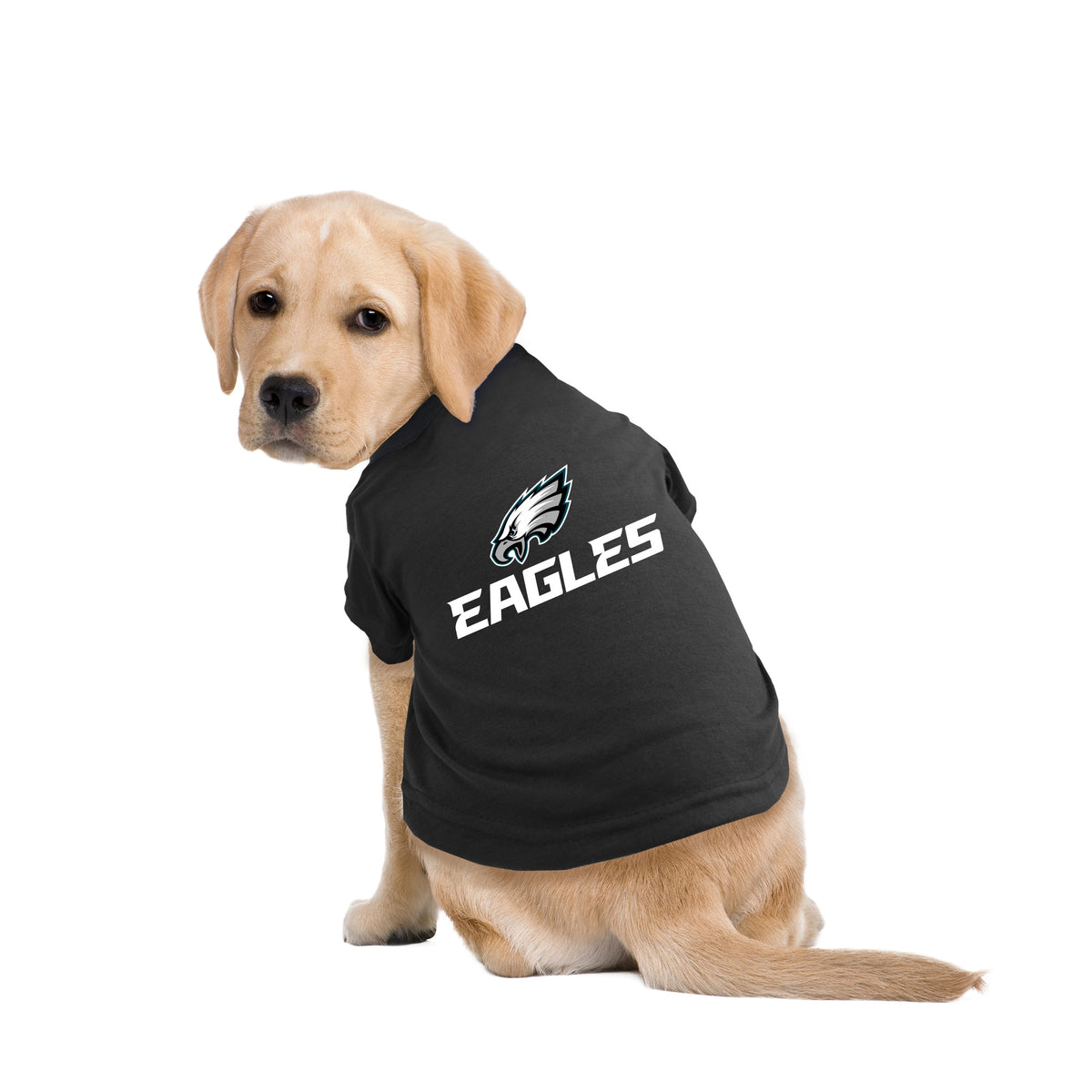 Philadelphia Eagles Busy Block Dog Sweater, Size: M