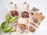 Little Enchanted Woods Floral Collection - F020