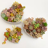 Assorted Succulent Garden Concrete Heart