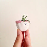 Quirky Face Pot