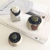 Collector's Succulent Plant Geometry Cube Pot - Soul Made Boutique