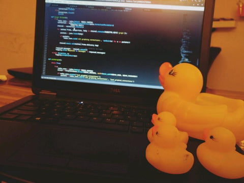 Rubber Duck Programmer Gift