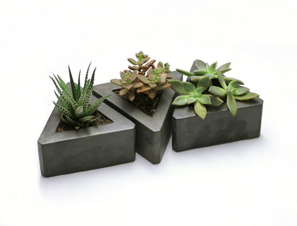 Triangle Concrete Pot ---