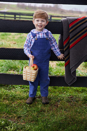 classic childrens clothing boys shirt with peter pan collar in blue and red plaid pattern