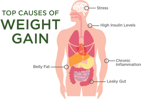 inflammation causes weight gain