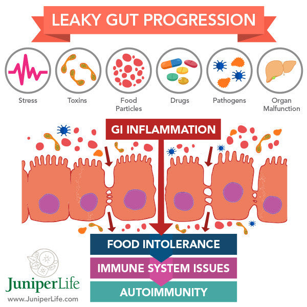 leaky gut treatment leaky bowel