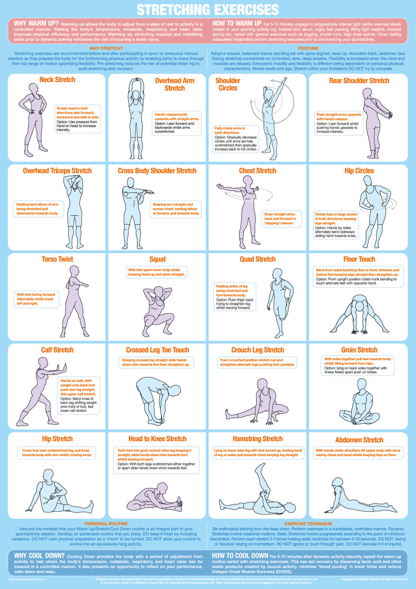 stretching-exercise-chart-chartex