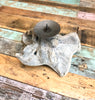 Bleached Driftwood Candle Holder - Eclectic Bohemian
